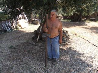 Immagine allegata alla scheda. Per averne una descrizione leggere i dettagli più in basso.